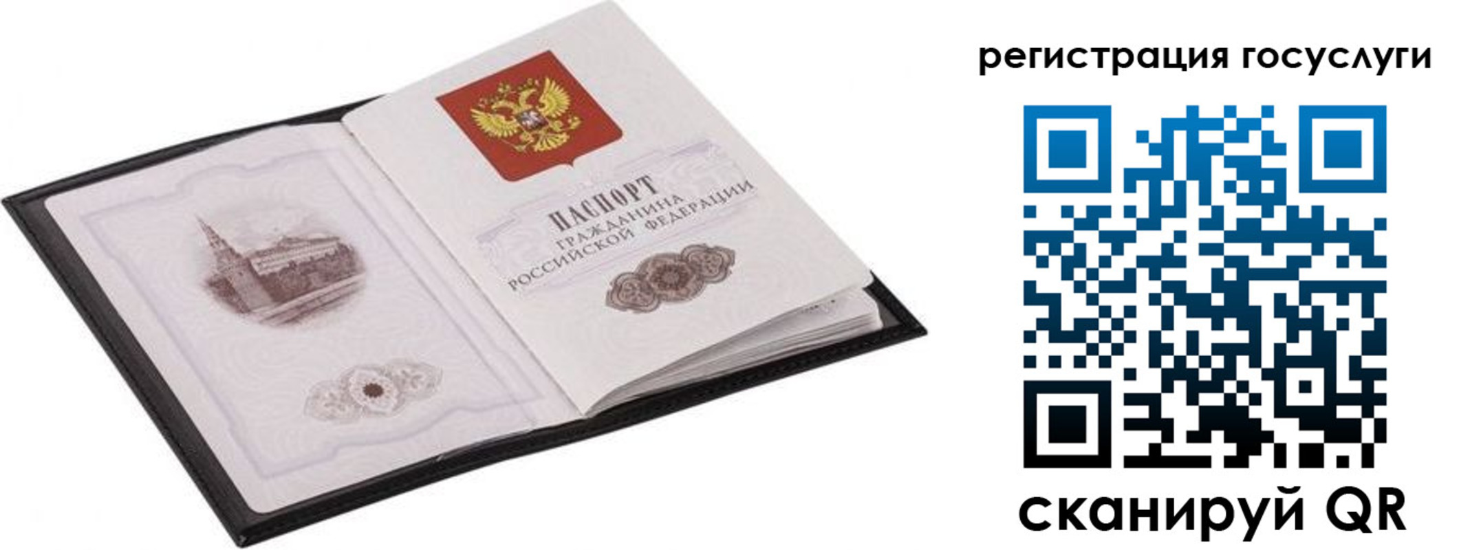 временная регистрация поиск в Александрове